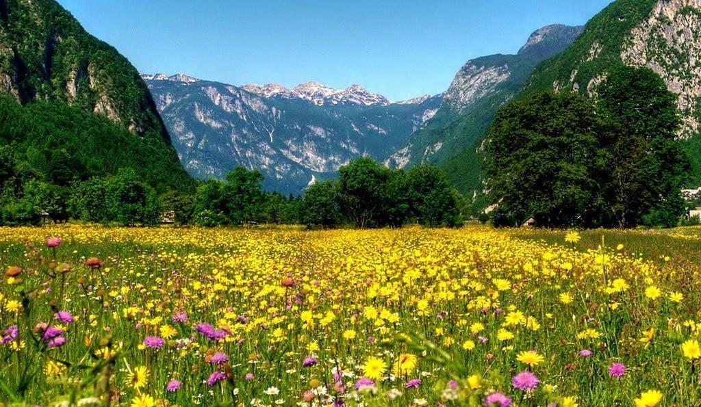 Apartmaji Pri Marodnu Bohinj Exterior foto